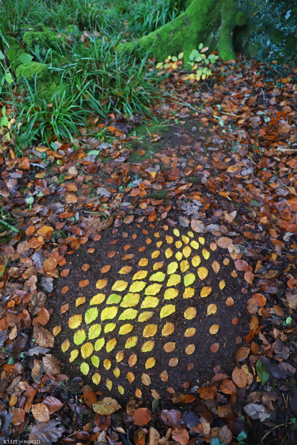 Experience the awe-inspiring work of land artist Jon Foreman, who skillfully arranges 15 striking autumn leaves, creating a visual masterpiece that captures the essence of the season.vouyen