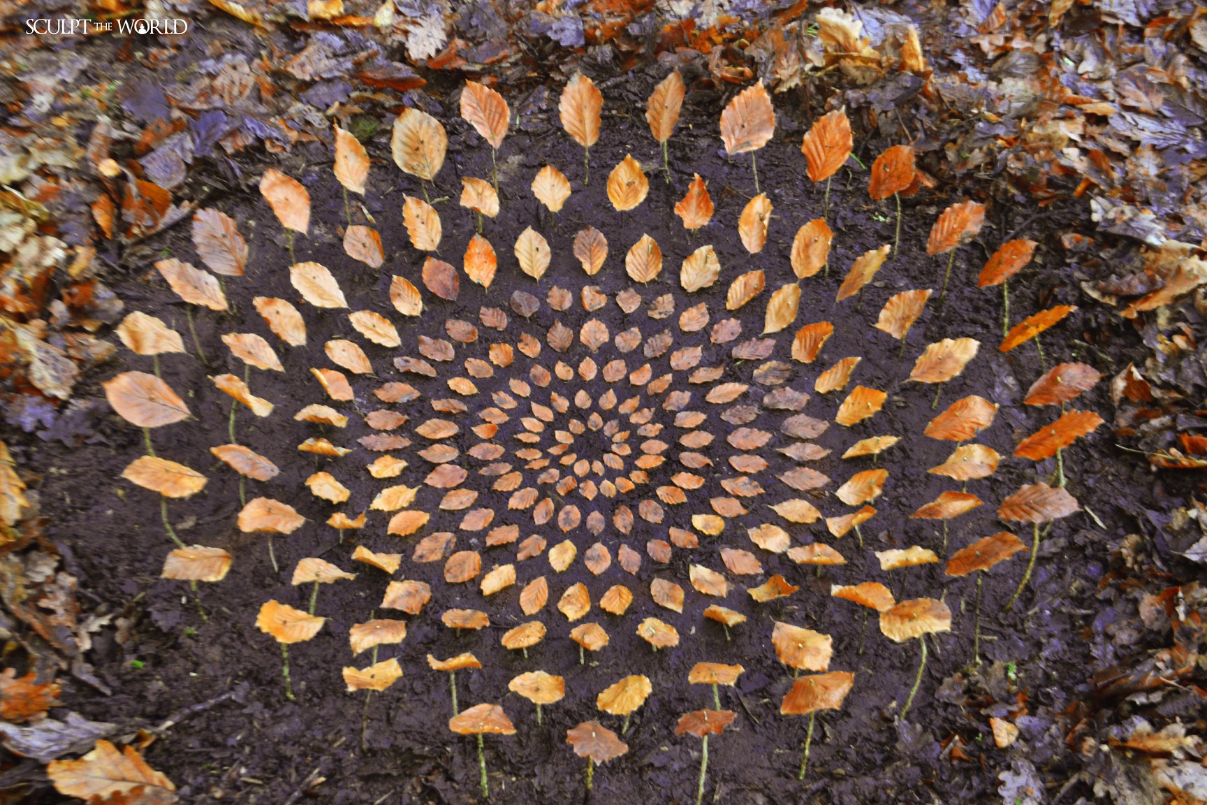 Experience the awe-inspiring work of land artist Jon Foreman, who skillfully arranges 15 striking autumn leaves, creating a visual masterpiece that captures the essence of the season.vouyen