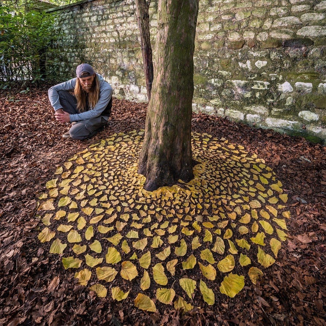 Experience the awe-inspiring work of land artist Jon Foreman, who skillfully arranges 15 striking autumn leaves, creating a visual masterpiece that captures the essence of the season.vouyen