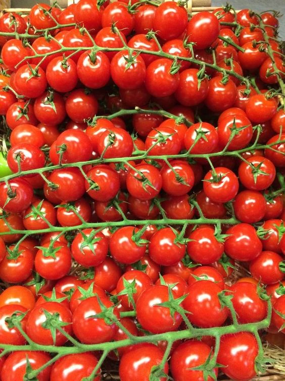 The Tomato Plant Yields An Incredible Abundance Of Fruit, Leaving People Astounded - Special 68