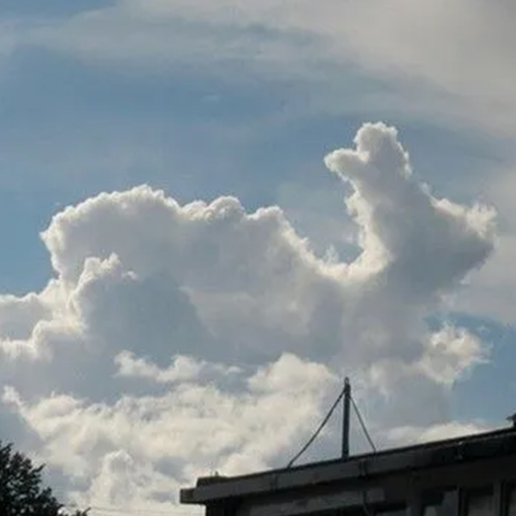 Cloudy with a Chance of Happiness: Exploring the Big, Cuddly Cloud’s Sweet Smile