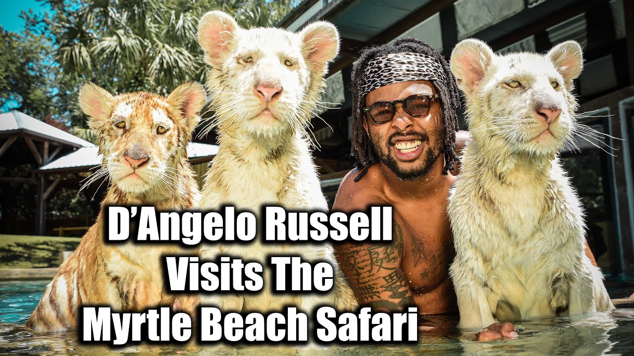 Making a Splash: Lakers’ D’Angelo Russell and His Surprising Poolside Companions