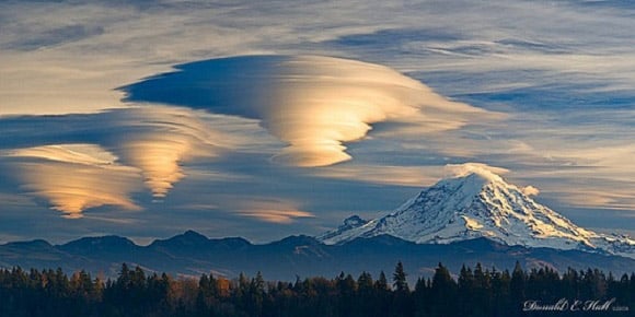 Lenticular Stacks