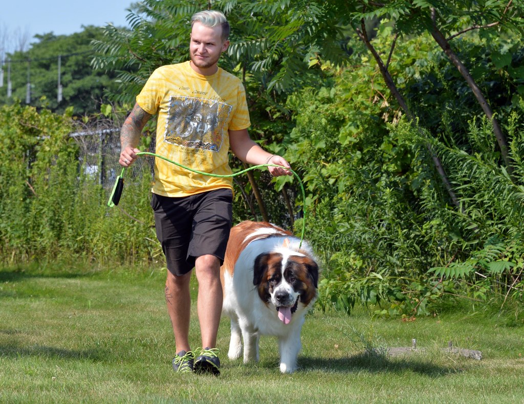 A photo of trainer Davis walking another dog.