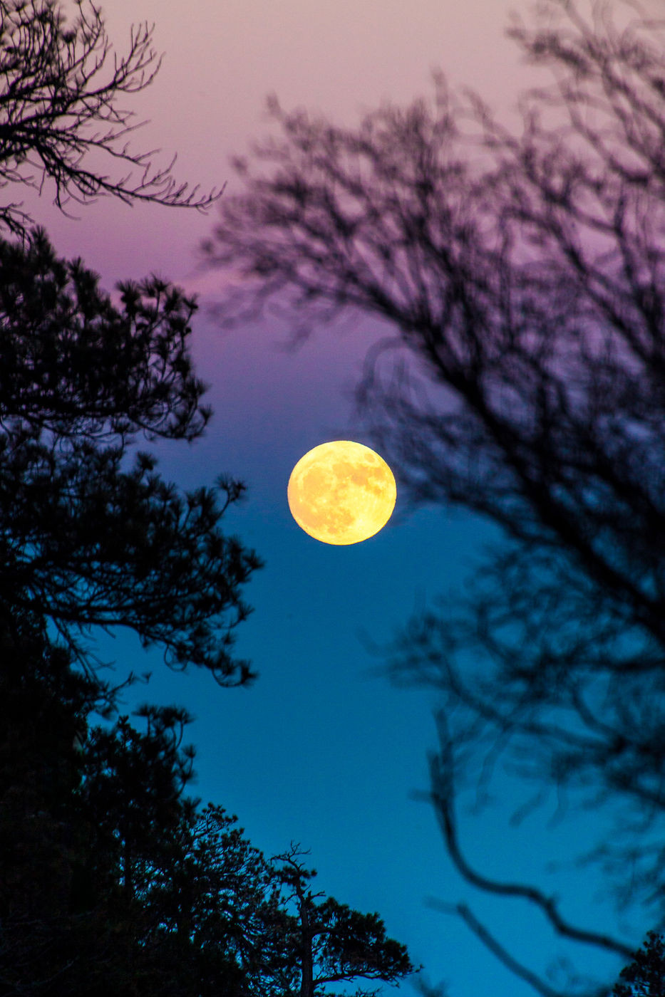 hình ảnh  không khí mặt trăng trăng tròn Ánh trăng vòng tròn Vệ tinh  Thiên văn học Luna Thiên thể Chụp đêm Đau Tháng chín tháng trăng Mặt  trăng của trái